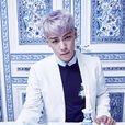 t.o.p(韓國藝人、bigbang組合成員)
