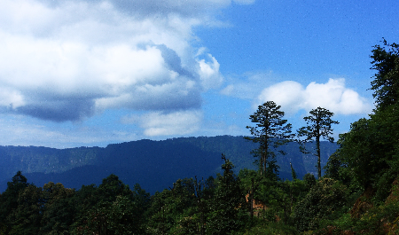 龍蒼溝國家森林公園 龍蒼溝國家森林公園