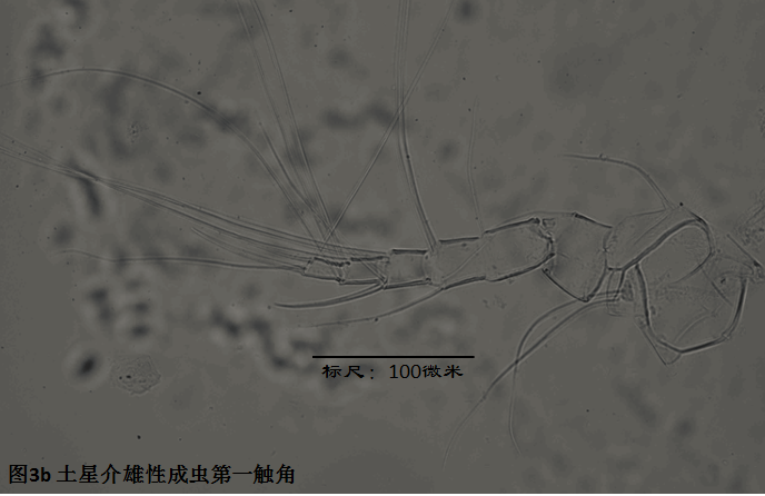 圖3b 圖3b