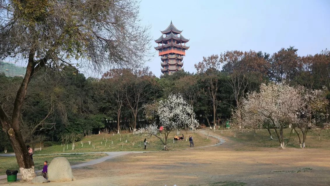 塔子山公園 塔子山公園
