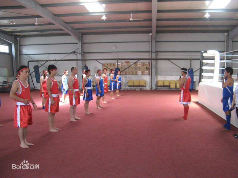 中國泰拳 中國泰拳