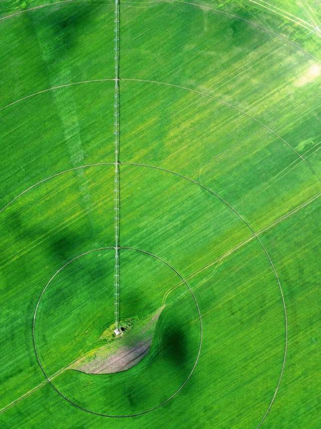 每年4000萬噸，內蒙古改寫中國糧食版圖 | 地球知識局