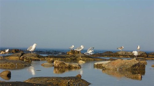裏海 裏海