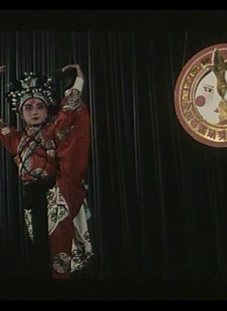 趙鴻飛