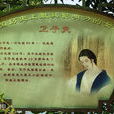 衛子夫(西漢時漢武帝第二任皇后)