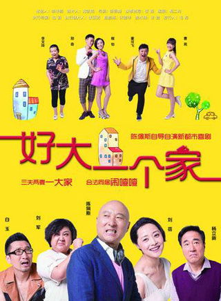舒暢(1987年出生的中國內地女演員)