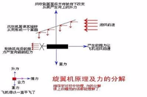 原理(漢語詞語)
