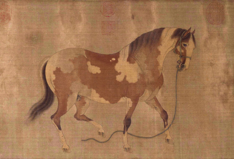 元 任仁發《二馬圖》(局部之右馬) 元 任仁發《二馬圖》(局部之右馬)
