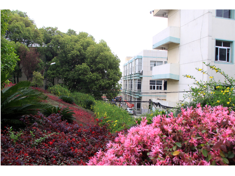 江西信息套用職業技術學院 江西信息套用職業技術學院