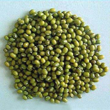綠豆 綠豆