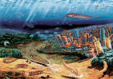 海底生物 海底生物