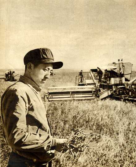 黑龍江省國營三九機械農場(1952年) 黑龍江省國營三九機械農場(1952年)