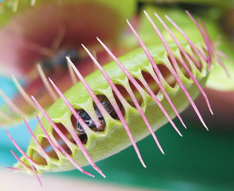生物資源 生物資源