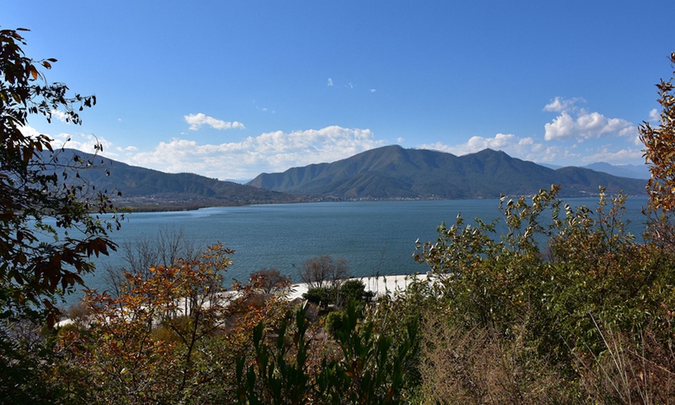 東岸水域 東岸水域
