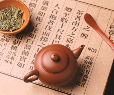 樂昌白毛茶