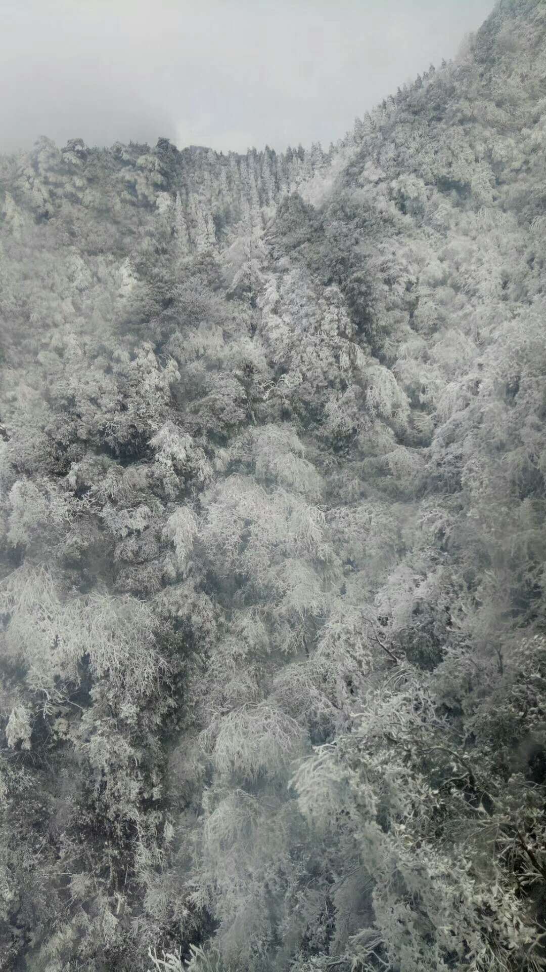 武功山雪景 武功山雪景