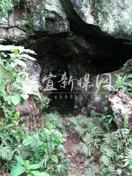千年山垌 千年山垌