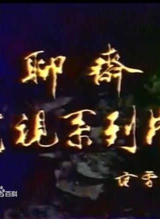 陳紅(中國大陸女演員、製片人)