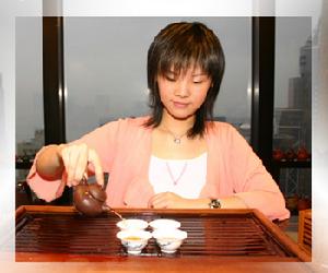 浦江春毫茶 浦江春毫茶