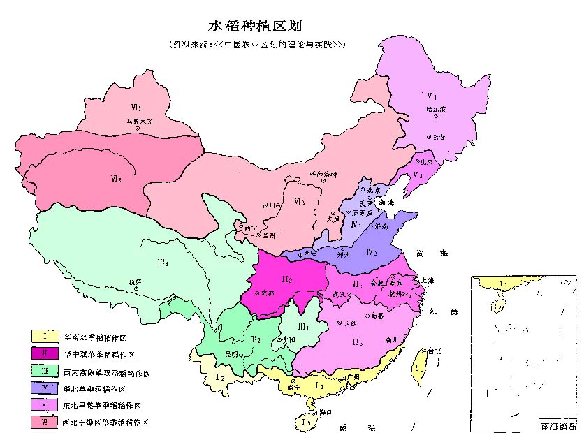 水稻 水稻