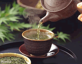 茉莉花茶 茉莉花茶