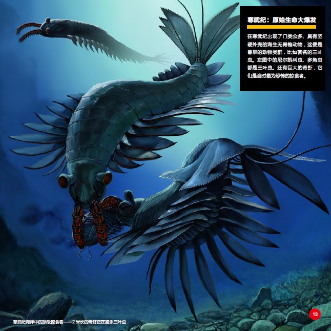 寒武紀:原始生命大爆發(趙闖 繪) 寒武紀:原始生命大爆發(趙闖 繪)