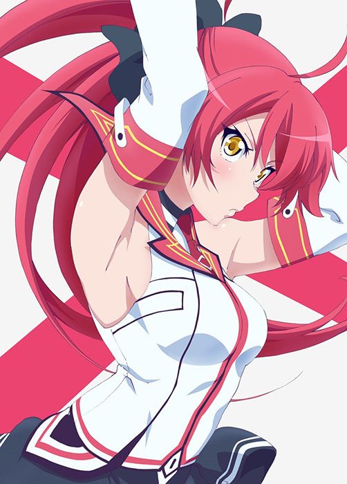 魔裝學園h×h(production ims改編的電視動畫)