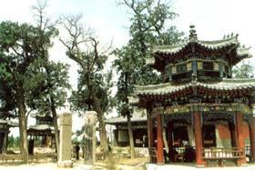 羑里城遺址 羑里城遺址