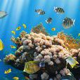 生物資源(資源術語)
