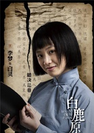 白鹿原(2016年劉進執導電視劇)