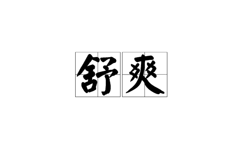 舒爽(漢語詞語)
