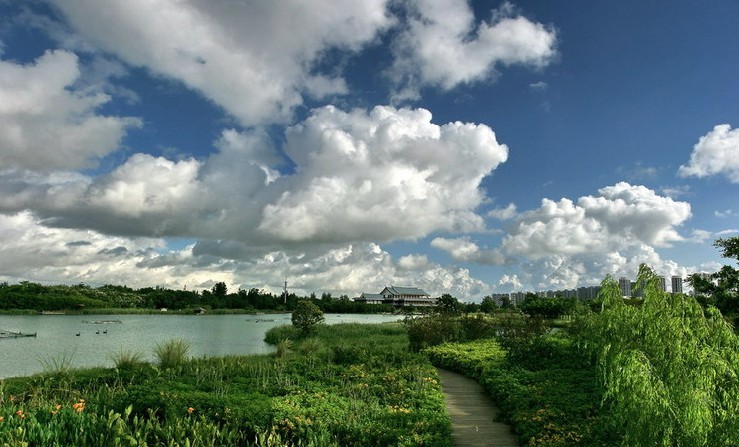 五緣灣濕地公園 五緣灣濕地公園