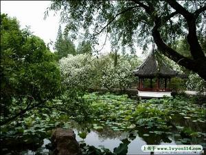 醉白池 醉白池
