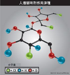 蔗糖素 蔗糖素