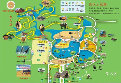 上海野生動物園 上海野生動物園