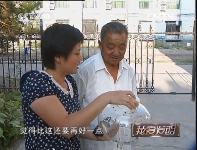 捕蠅器 捕蠅器
