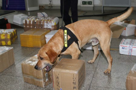 緝毒犬緝毒現場圖片 緝毒犬緝毒現場圖片