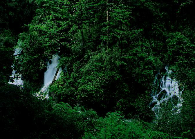 四川黑竹溝國家森林公園(黑竹溝) 四川黑竹溝國家森林公園(黑竹溝)