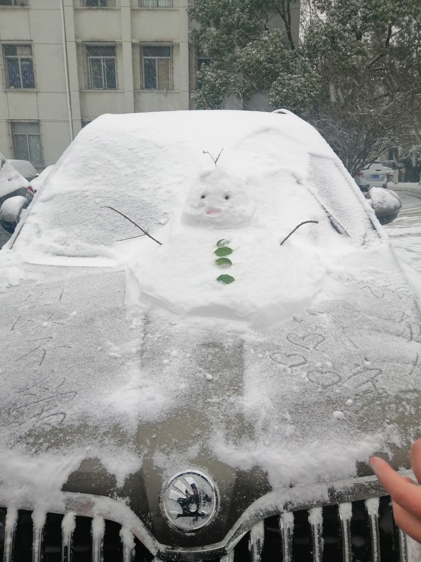江工職院風晴雪(2018.12.30周日) 江工職院風晴雪(2018.12.30周日)