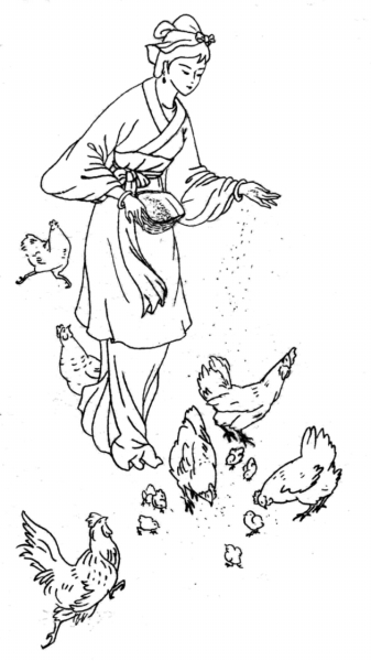 季姬擊雞記 季姬擊雞記