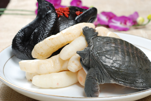 甲魚湯用料 甲魚湯用料
