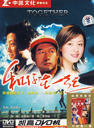 陳紅(中國大陸女演員、製片人)