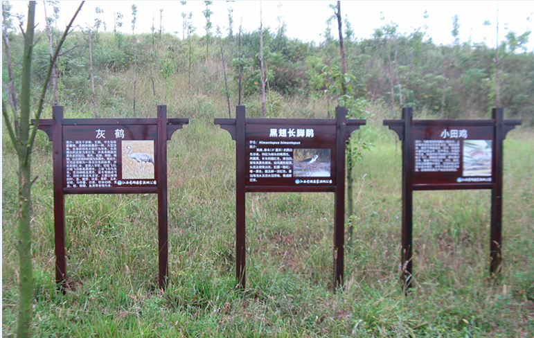 藥湖國家濕地公園 藥湖國家濕地公園