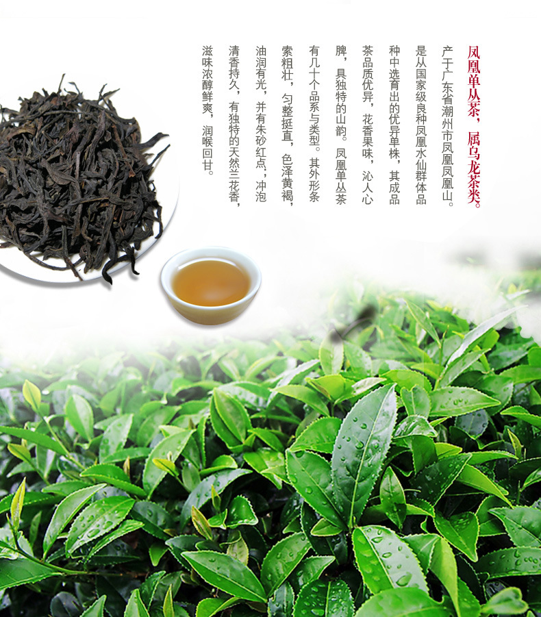 鳳凰單叢茶 鳳凰單叢茶