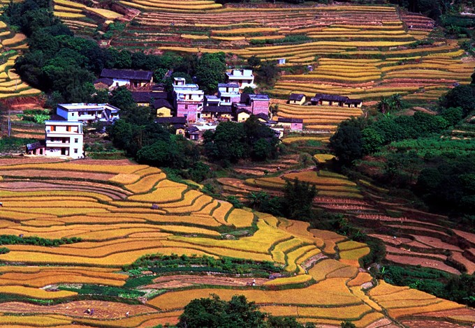 大水嶺 大水嶺