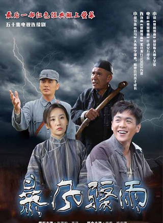 高洋(中國內地女演員)