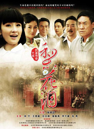 高洋(中國內地女演員)
