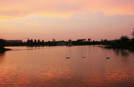 東湖水上公園 東湖水上公園
