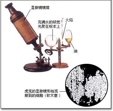 虎克時代的顯微鏡 虎克時代的顯微鏡