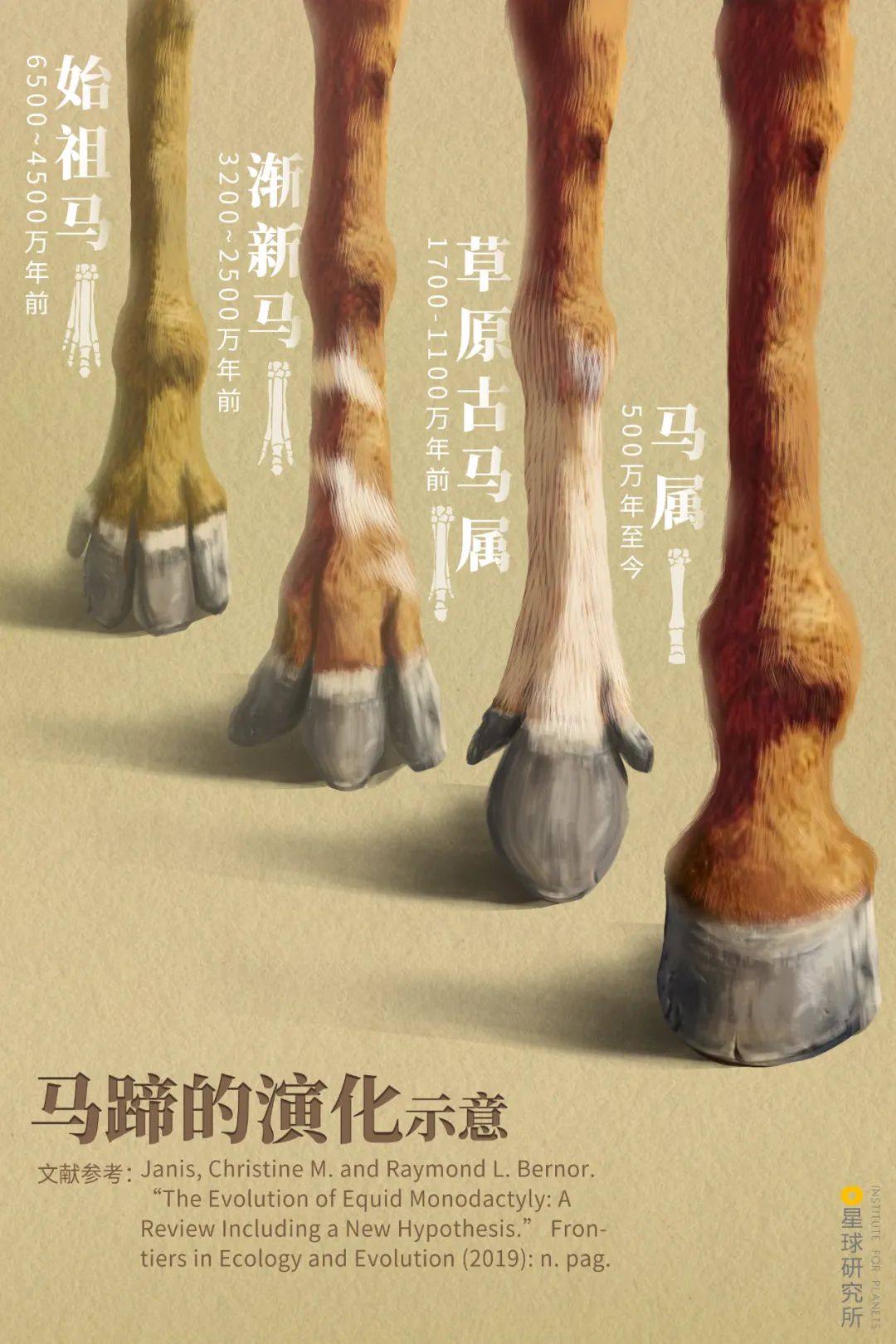 看！中國最壯麗的動物奇觀